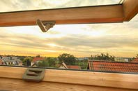 rated Pendoggett roof window companies